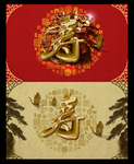 老人生日大寿
