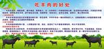 吃羊肉的好处