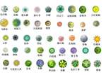 乔木素材贴图