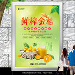 鲜榨金桔灯箱展板海报招贴挂画