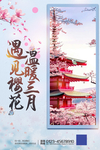 樱花季海报