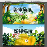 杨桃