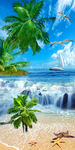 椰树海滩沙滩海边海景玄关