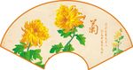扇形菊花