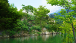 风景