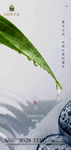 谷雨
