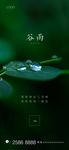 地产 谷雨 节气
