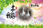 土鹅