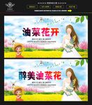 油菜花