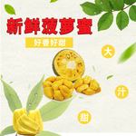菠萝蜜