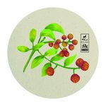 手绘花椒