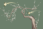 花鸟图