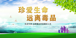 珍爱生命