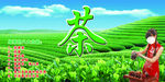茶叶