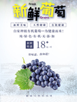 葡萄葡萄园海报