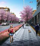 道路景观