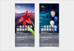 唯美地产系列海报 ZYH