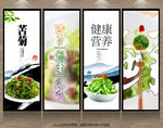 苦菊