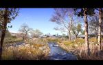 河道芦苇