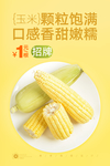 玉米