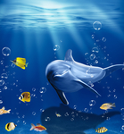 海底世界