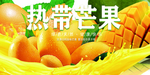 芒果