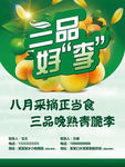 晚熟李海报