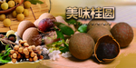 桂圆