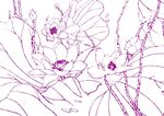 露珠荷花美 插画