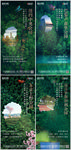 房地产公园环境森林价值点海报