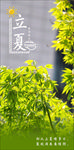 立夏节气海报摄影照片