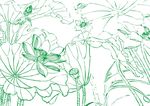 清清荷花池  美工画