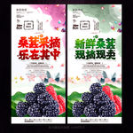 桑葚海报