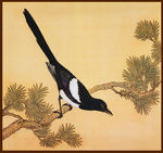 鸟