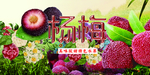 杨梅海报