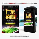 广东菜心