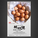 土鸡蛋海报