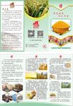 大绿仓特产三折页