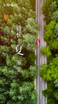 立夏海报