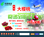 阿坝大樱桃