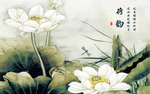 荷花荷韵