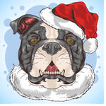 彩色卡通戴圣诞帽的沙皮狗