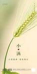 小满