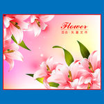 手绘矢量百合花瓣花朵小清新背景