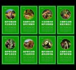 保护野生动物