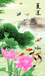 荷花图