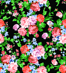 玫瑰花