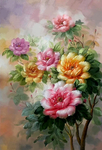 玫瑰花