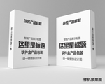 礼盒模板样机
