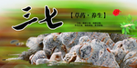 三七